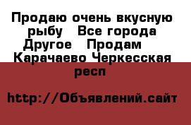 Продаю очень вкусную рыбу - Все города Другое » Продам   . Карачаево-Черкесская респ.